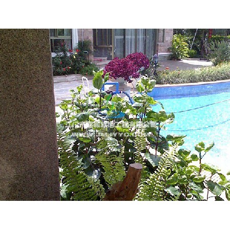 新會(huì )碧桂園私人別墅園林景觀(guān)